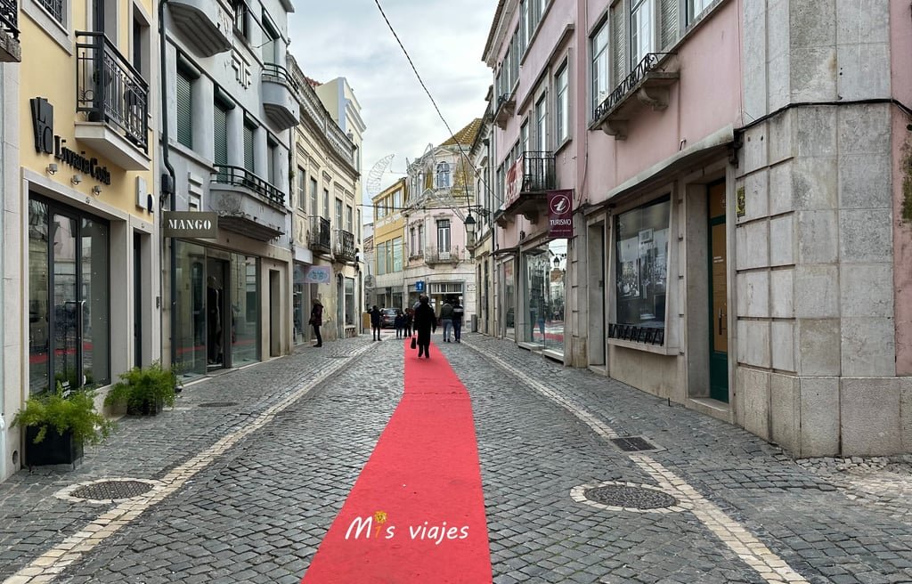 Santarém: Entre Murallas Medievales, Gótico y el Río Tajo Panorámica de la calle Rúa Capelo e Ivens en el centro de Santarém