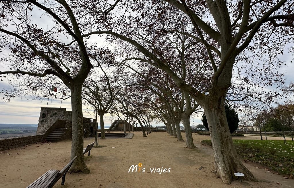 Santarém: Entre Murallas Medievales, Gótico y el Río Tajo Algunos árboles complementan estos jardines