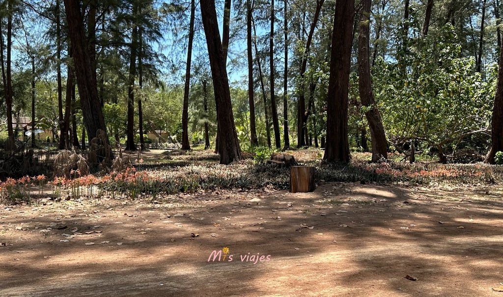 El Sirinat National Park ubicado en Phuket 
