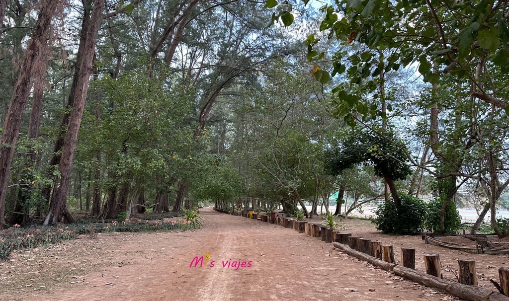 El Parque Nacional Sirinat a pie de playa es un entorno idílico para encontrar tranquilidad
