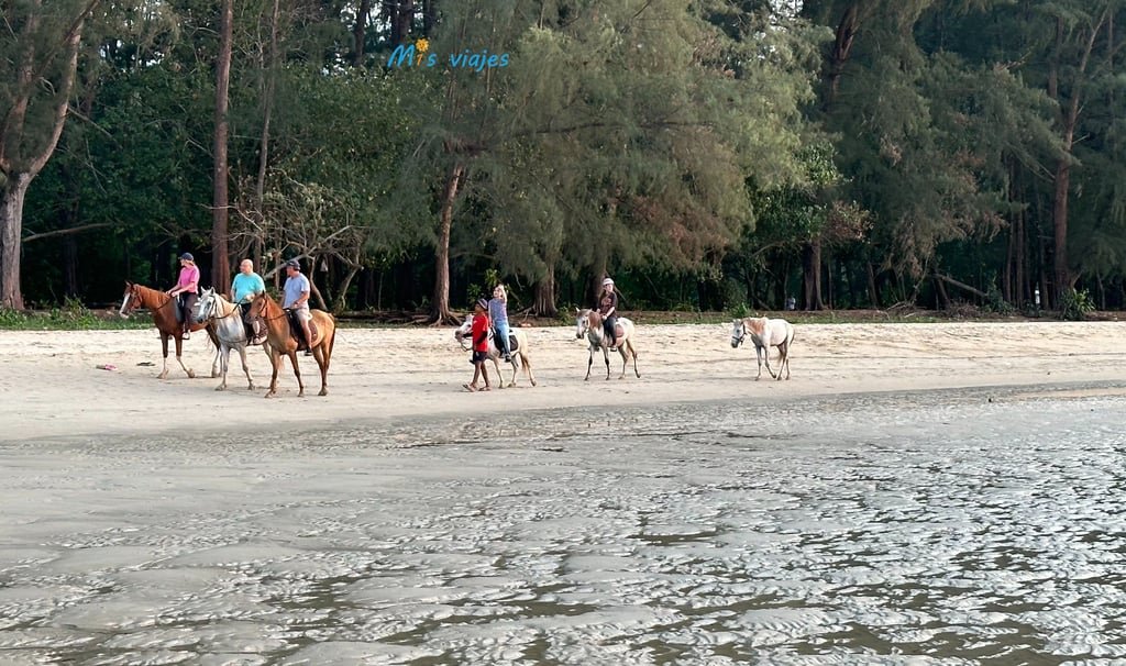 Excursiones a caballo por la playa son una buena opción cuando cae la tarde