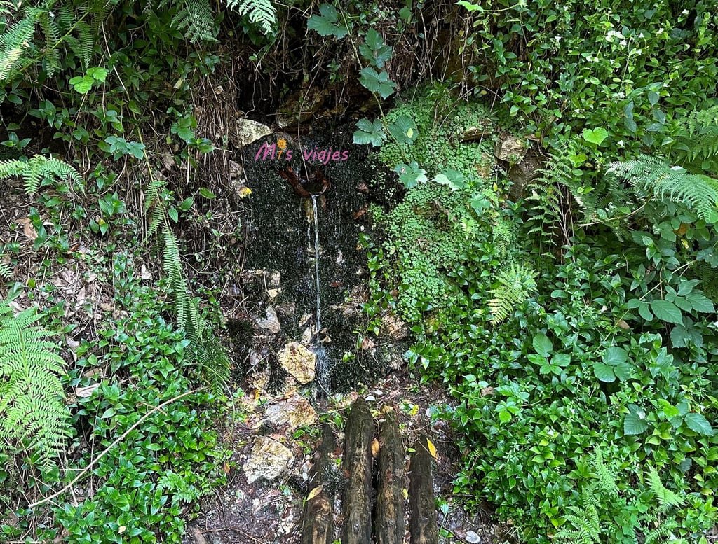 Fuentes de agua espontáneas 