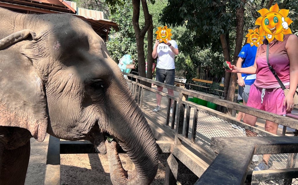 Es una experiencia que no te puedes perder si visitas Tailandia