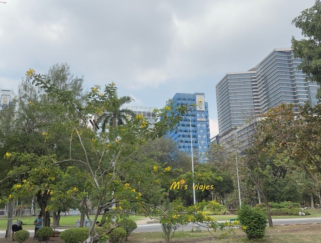 Lumphini Park: El Oasis Verde en el Corazón de Bangkok Panorámica del Lumphini Park en Bangkok