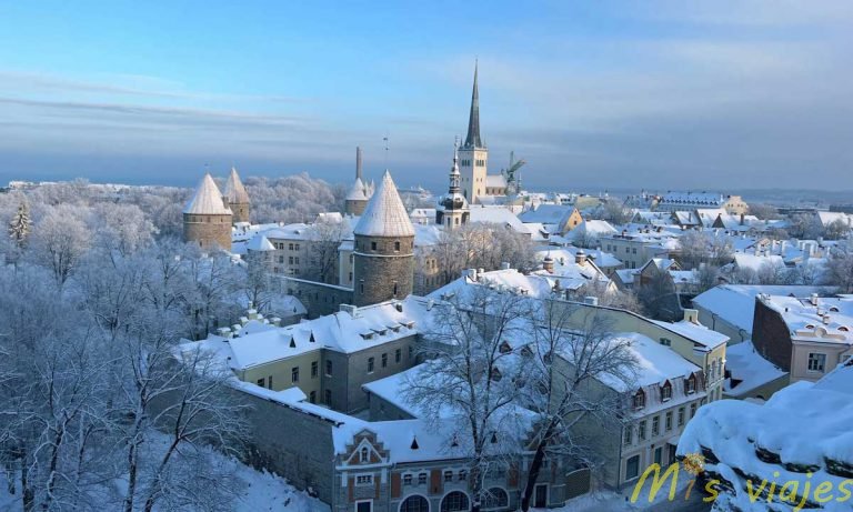 tallin 1