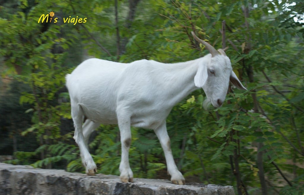 dsc00446 con logo aop6ywyz5xhdpnrd