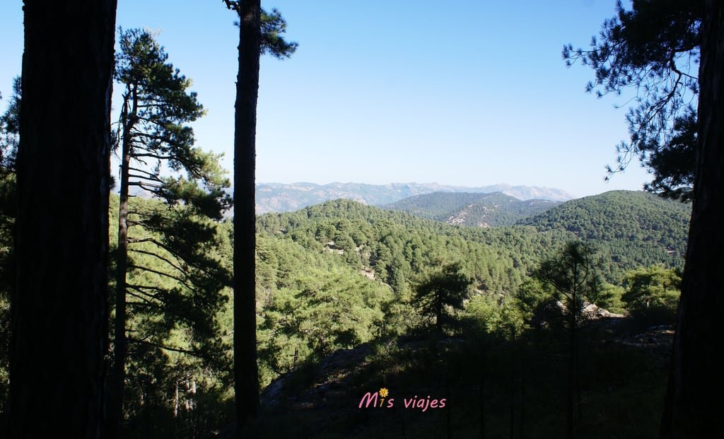 Poyos de Mesa: El Sendero Secreto de Cazorla que Todo Aventurero Debe Recorrer dsc00516 con logo mnlwxoplvzt8nrew