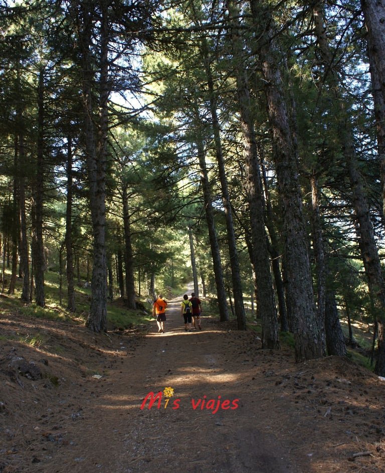Poyos de Mesa: El Sendero Secreto de Cazorla que Todo Aventurero Debe Recorrer dsc00527 con logo mxb4yellorsko2or