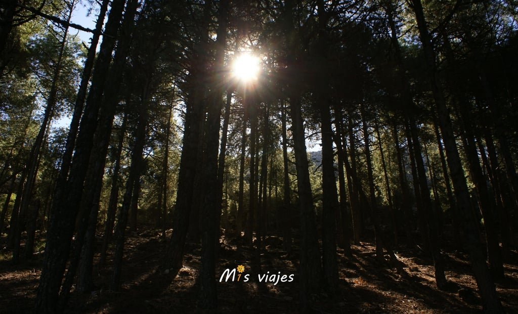 Poyos de Mesa: El Sendero Secreto de Cazorla que Todo Aventurero Debe Recorrer dsc00528 con logo m7v3z7zkdkfp7qe6