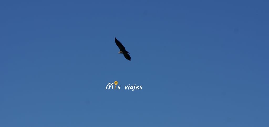dsc00544 con logo m5k2xkjyxjipr9qd