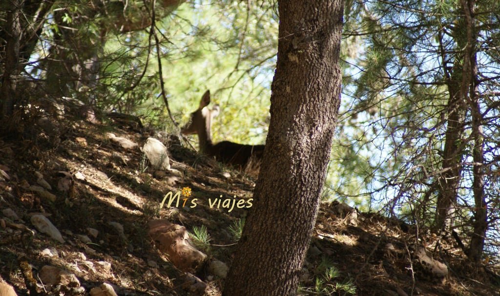 dsc00619 con logo aqe4g6jzzps9yk6w