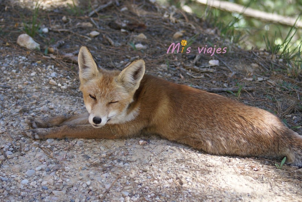 dsc00649 con logo awvjxewa0ws113ox