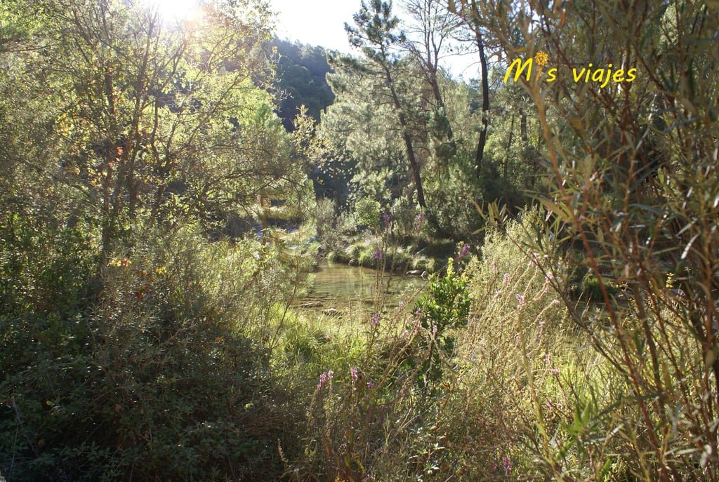 dsc00762 con logo aqe4gqjwa0ivzp1j