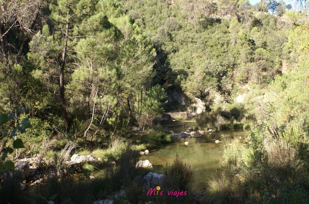 Ruta del Río Borosa: Aventura y Naturaleza en el Corazón de la Sierra de Cazorla dsc00764 con logo mp4o6e53qqcvw7re