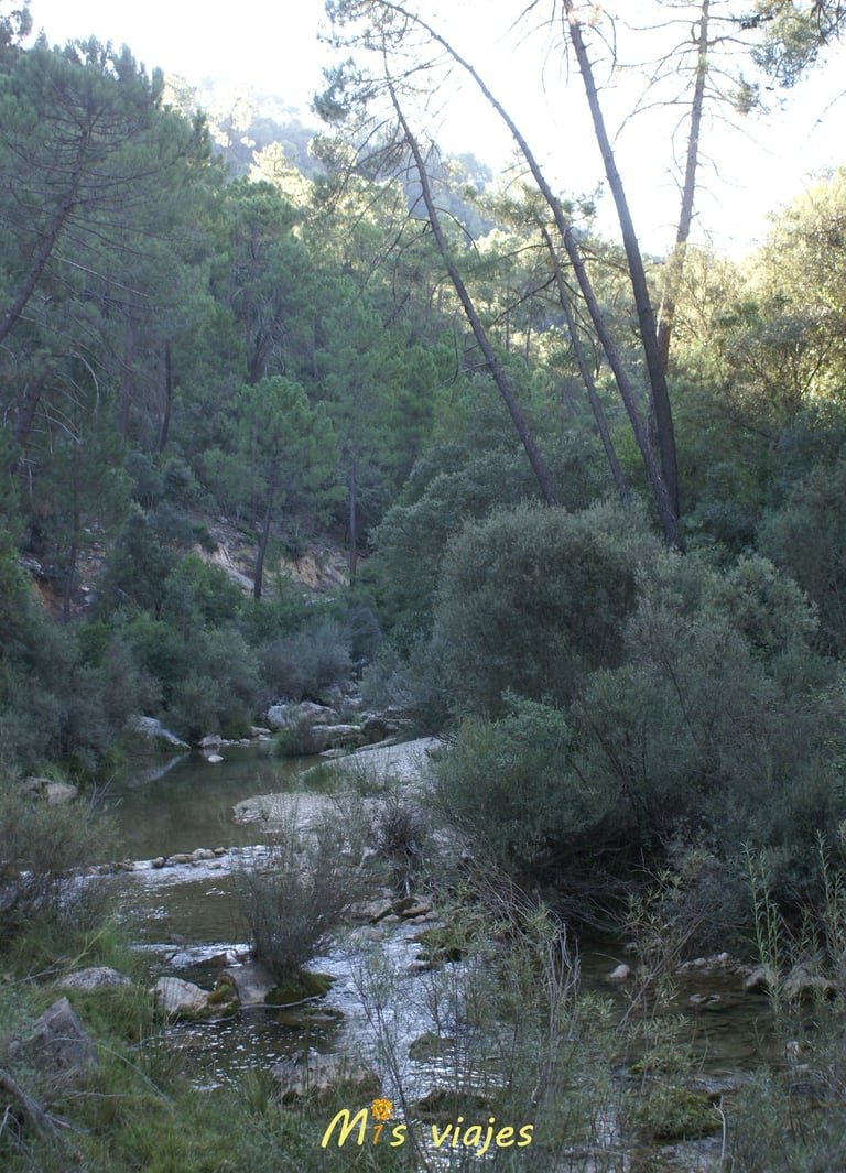 Ruta del Río Borosa: Aventura y Naturaleza en el Corazón de la Sierra de Cazorla dsc00778 con logo m2w8ozqpejh5omnw