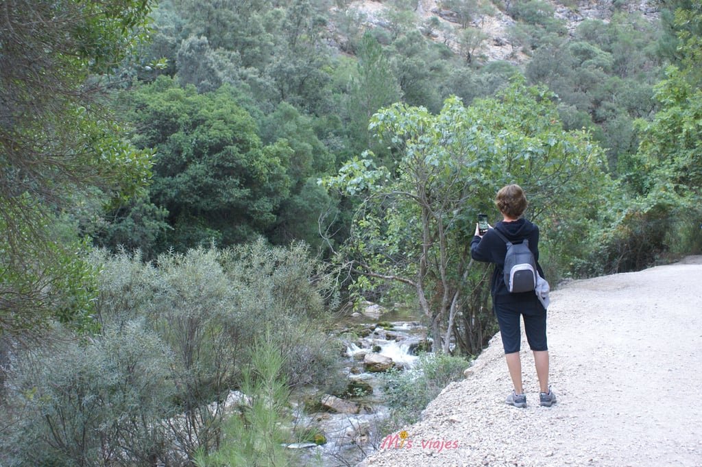 Ruta del Río Borosa: Aventura y Naturaleza en el Corazón de la Sierra de Cazorla dsc00788 con logo aopwap4w9bu87ore