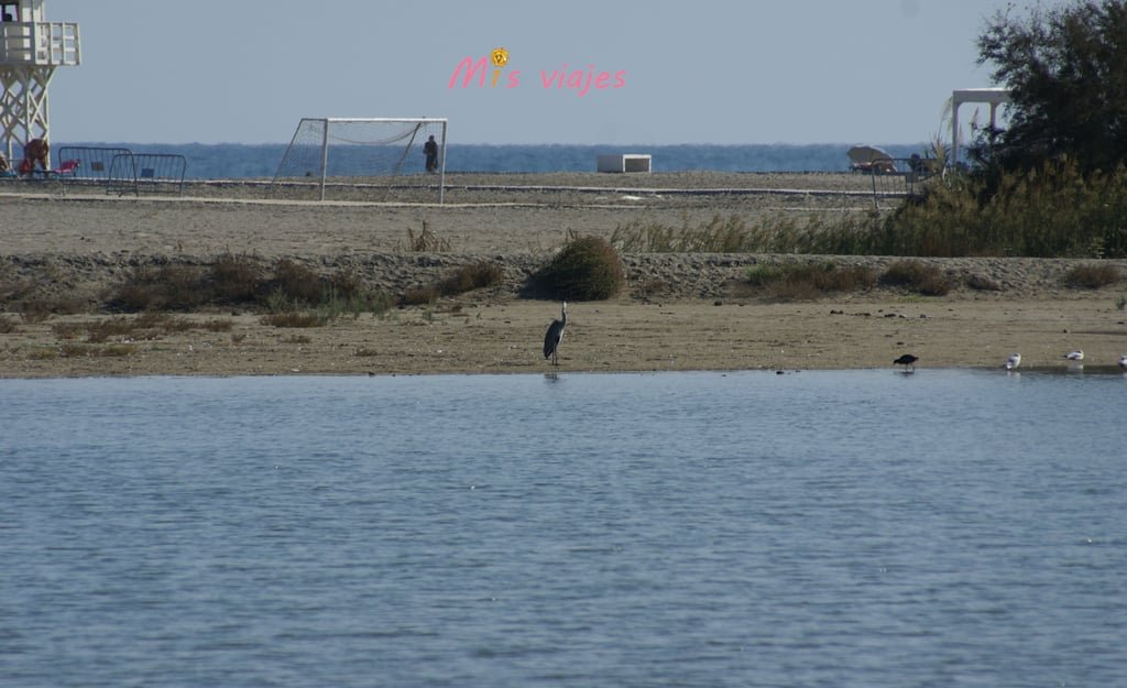 dsc01489 con logo yx4lgoo8k0ielnje