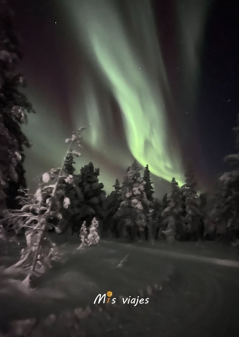 Finlandia: Naturaleza Inmensa, Cultura Única y Magia Ártica img 0043 con logo avl1lqqbmytngb8p