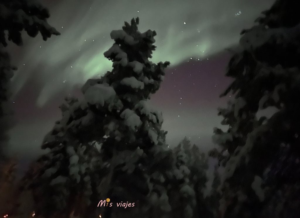 Finlandia: Naturaleza Inmensa, Cultura Única y Magia Ártica img 0053 con logo m2wal91wg0syqo5e