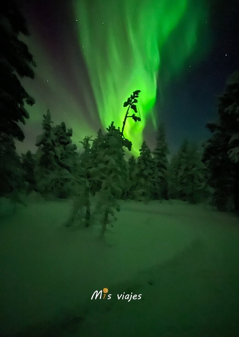 Finlandia: Naturaleza Inmensa, Cultura Única y Magia Ártica img 0055 con logo m2wal9bjrncnq00g