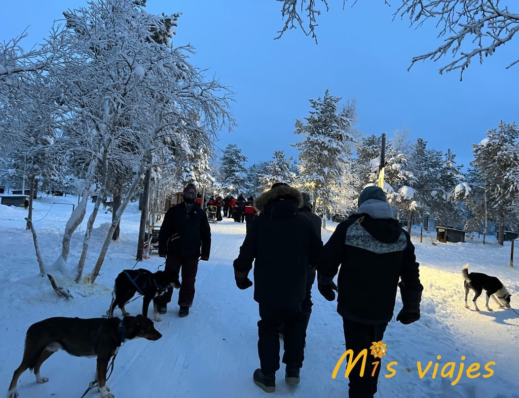 Finlandia: Naturaleza Inmensa, Cultura Única y Magia Ártica img 0142 con logo m2walmgo46c5537j