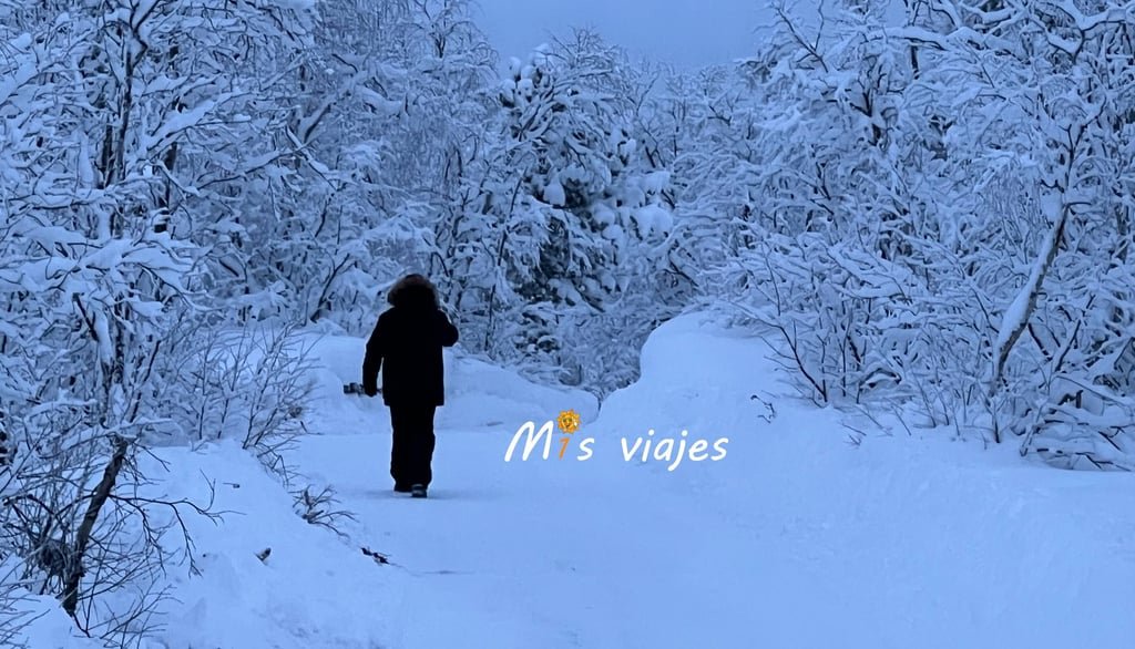 Paisaje invernal sobre Karesuando (Suecia)