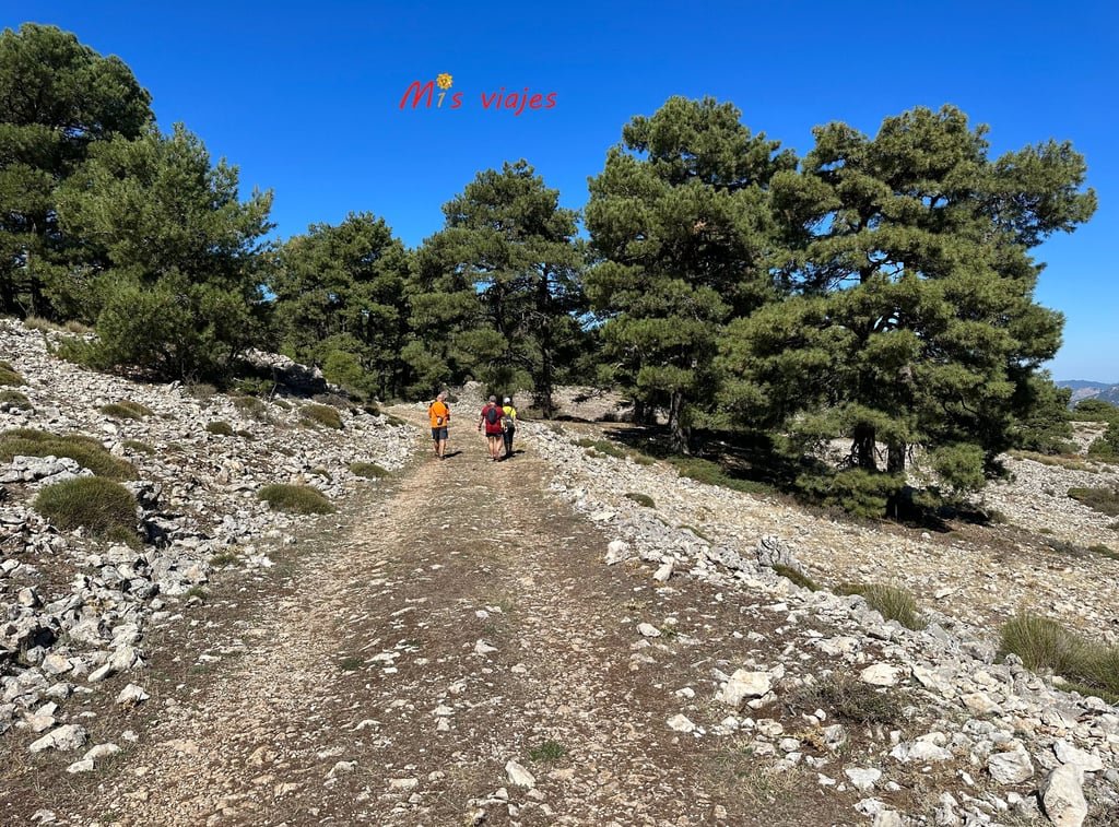 Poyos de Mesa: El Sendero Secreto de Cazorla que Todo Aventurero Debe Recorrer img 8257 con logo alpej1q6j5fzkgvk