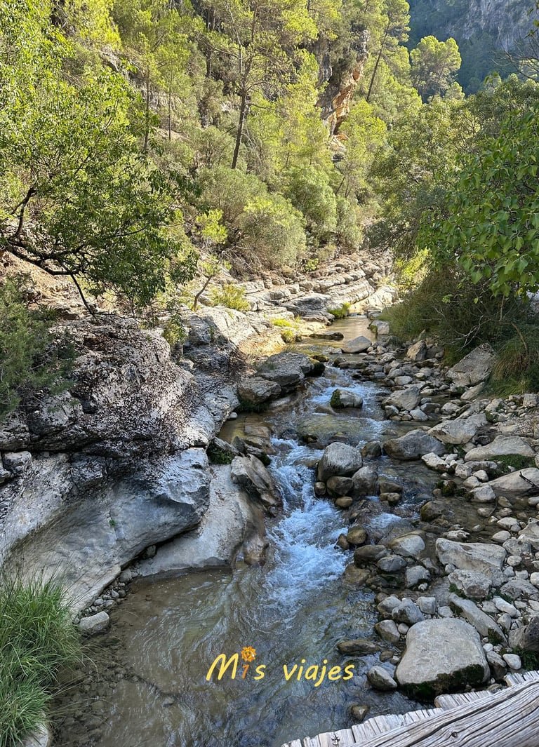 Ruta del Río Borosa: Aventura y Naturaleza en el Corazón de la Sierra de Cazorla img 8454 con logo mepxw8wkgou3gv12