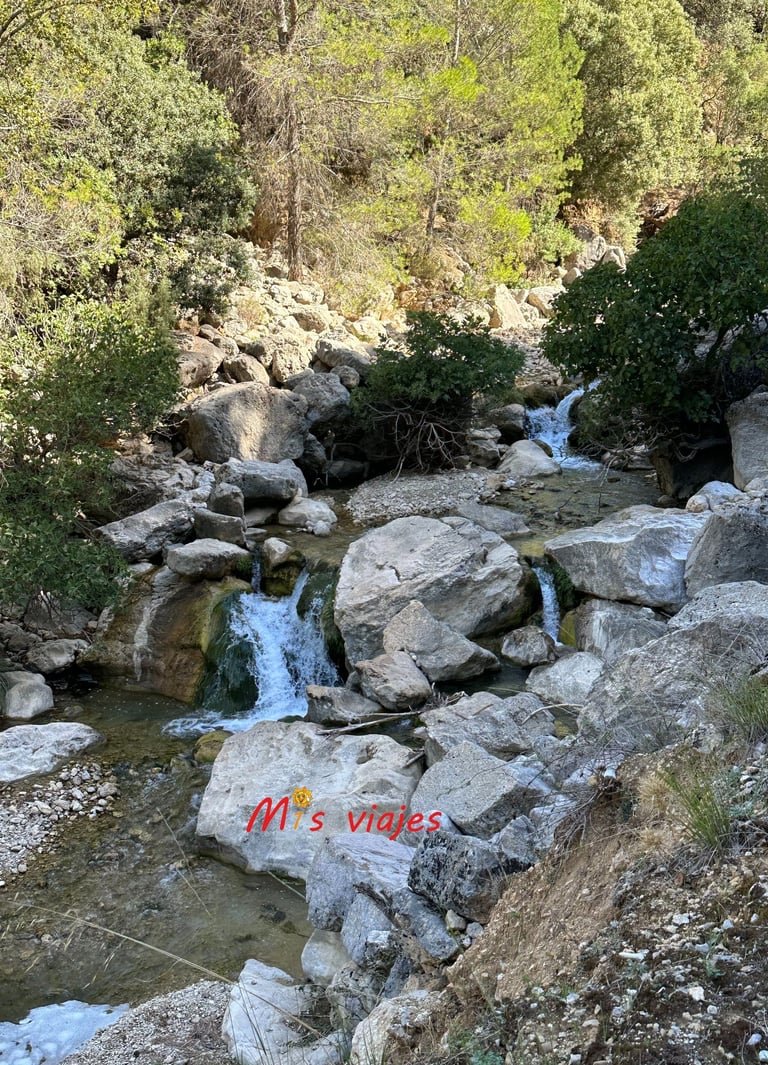 Ruta del Río Borosa: Aventura y Naturaleza en el Corazón de la Sierra de Cazorla img 8461 con logo y4ldnqxqyrioz0lj