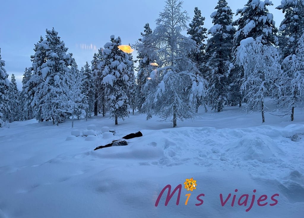 Finlandia: Naturaleza Inmensa, Cultura Única y Magia Ártica img 9688 con logo agbnxykzmphrpv7g