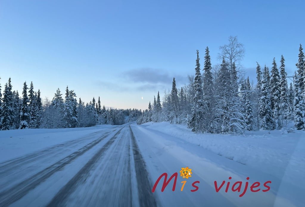 Finlandia: Naturaleza Inmensa, Cultura Única y Magia Ártica img e9577 con logo ar0lgqbj5wuy9ajg