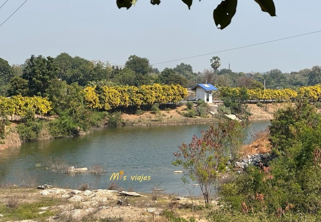 Wat Khao Tham Thiam: El Imponente Buda de U-Thong y su Paz Espiritual Lagunas que rodean el Wat Khao Tham Thiam en la provincia de Suphanburi