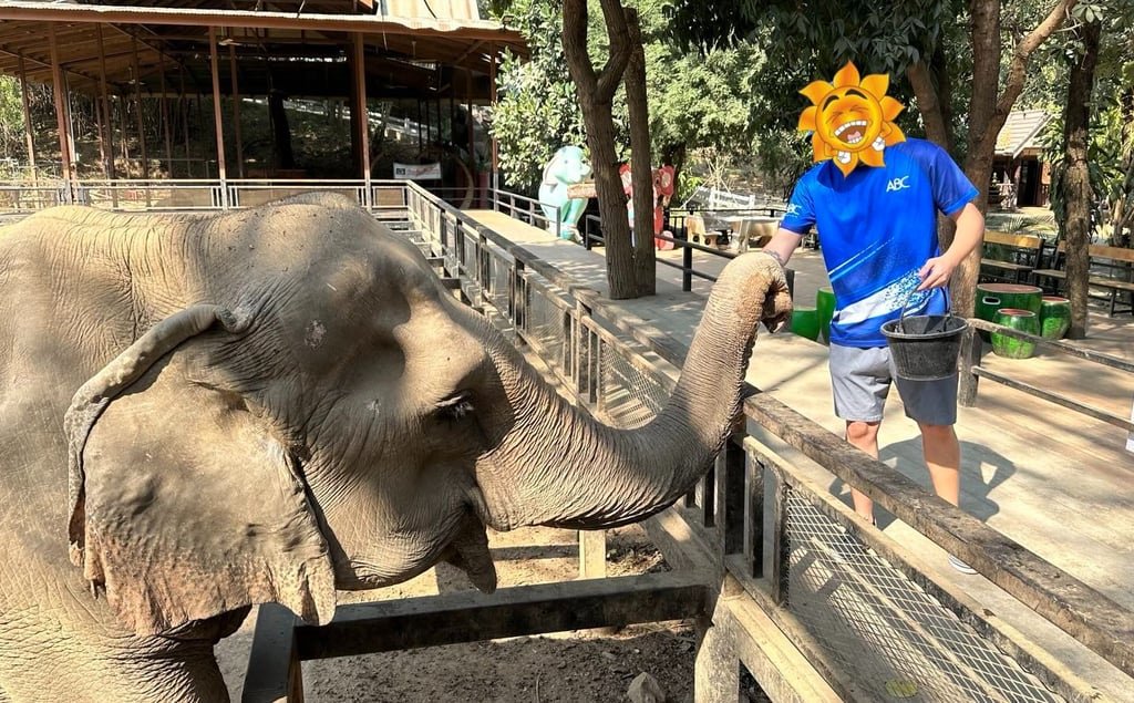 M1s Viajes disfrutando de dar de comer a los elefantes