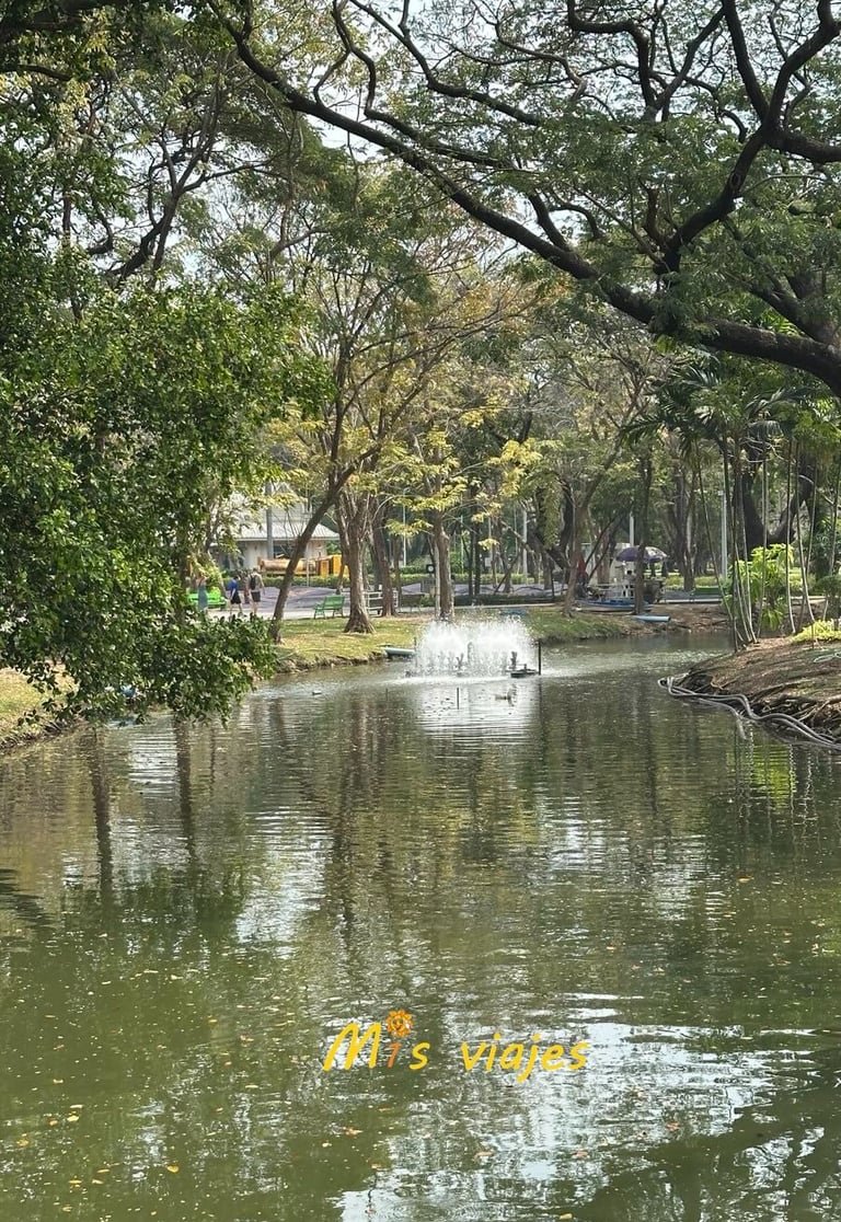 Lumphini Park: El Oasis Verde en el Corazón de Bangkok Los árboles rodean la laguna en el Lumphini Park