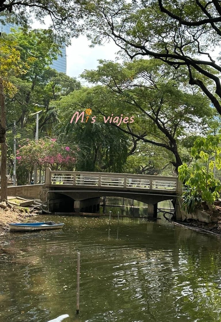 Lumphini Park: El Oasis Verde en el Corazón de Bangkok Bella panorámica del Lumphini Park en Bangkok