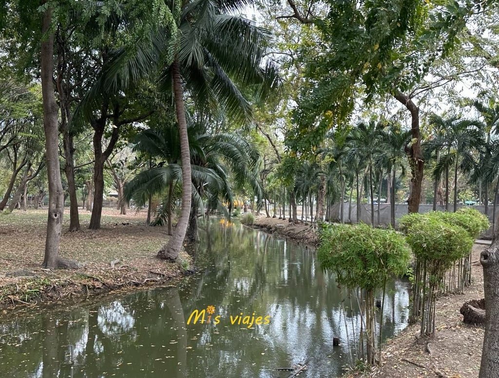 Lumphini Park: El Oasis Verde en el Corazón de Bangkok Lumphini Park es un buen lugar para tomar un respiro