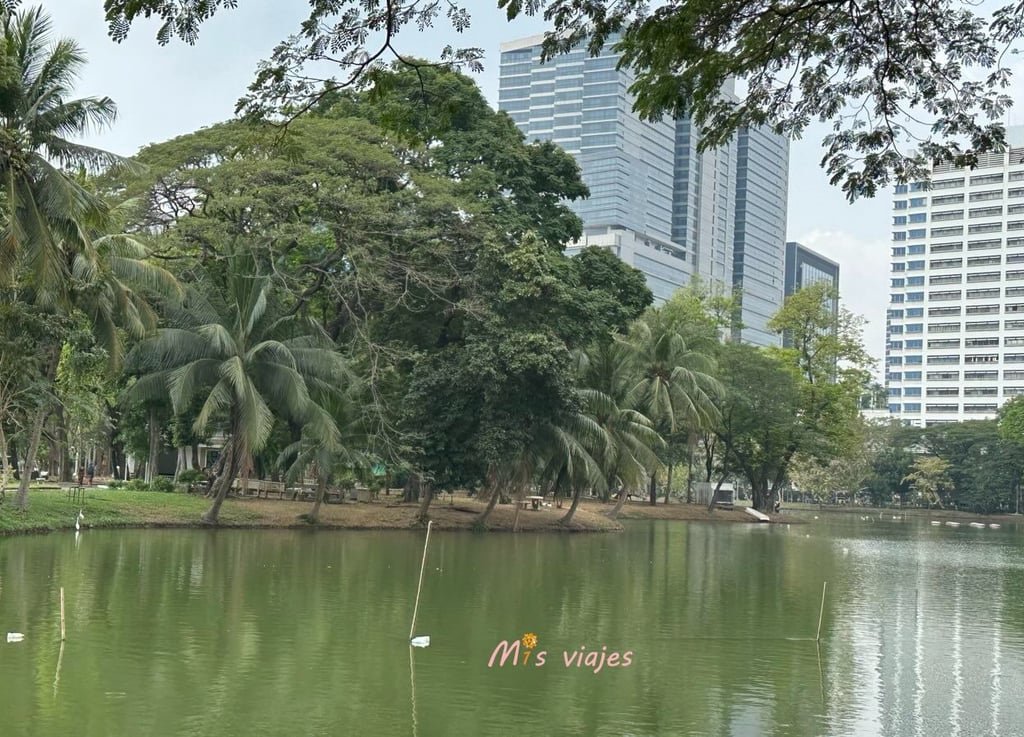 Lumphini Park: El Oasis Verde en el Corazón de Bangkok La laguna del Lumphini Park da vida a esta zona