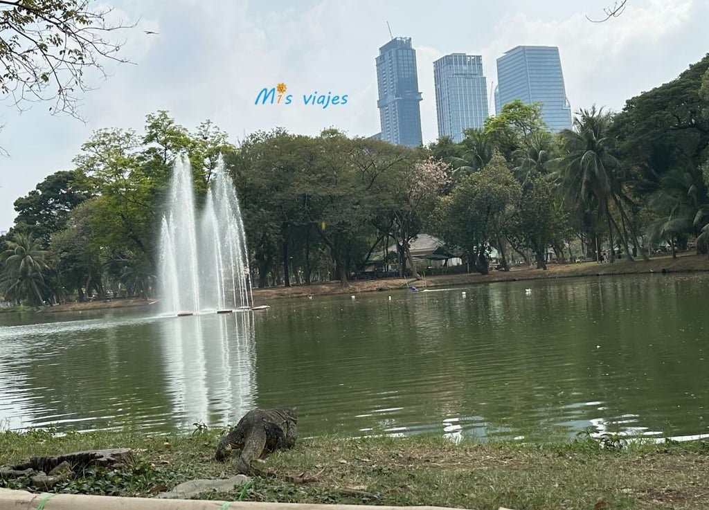 Lumphini Park: El Oasis Verde en el Corazón de Bangkok Panorámica del Lagarto de Varano de agua en el Lumphini Park