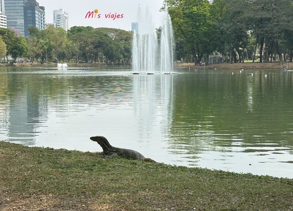 Lumphini Park: El Oasis Verde en el Corazón de Bangkok Bella panorámica del Lagarto Varano de Agua en el Lumphini Park