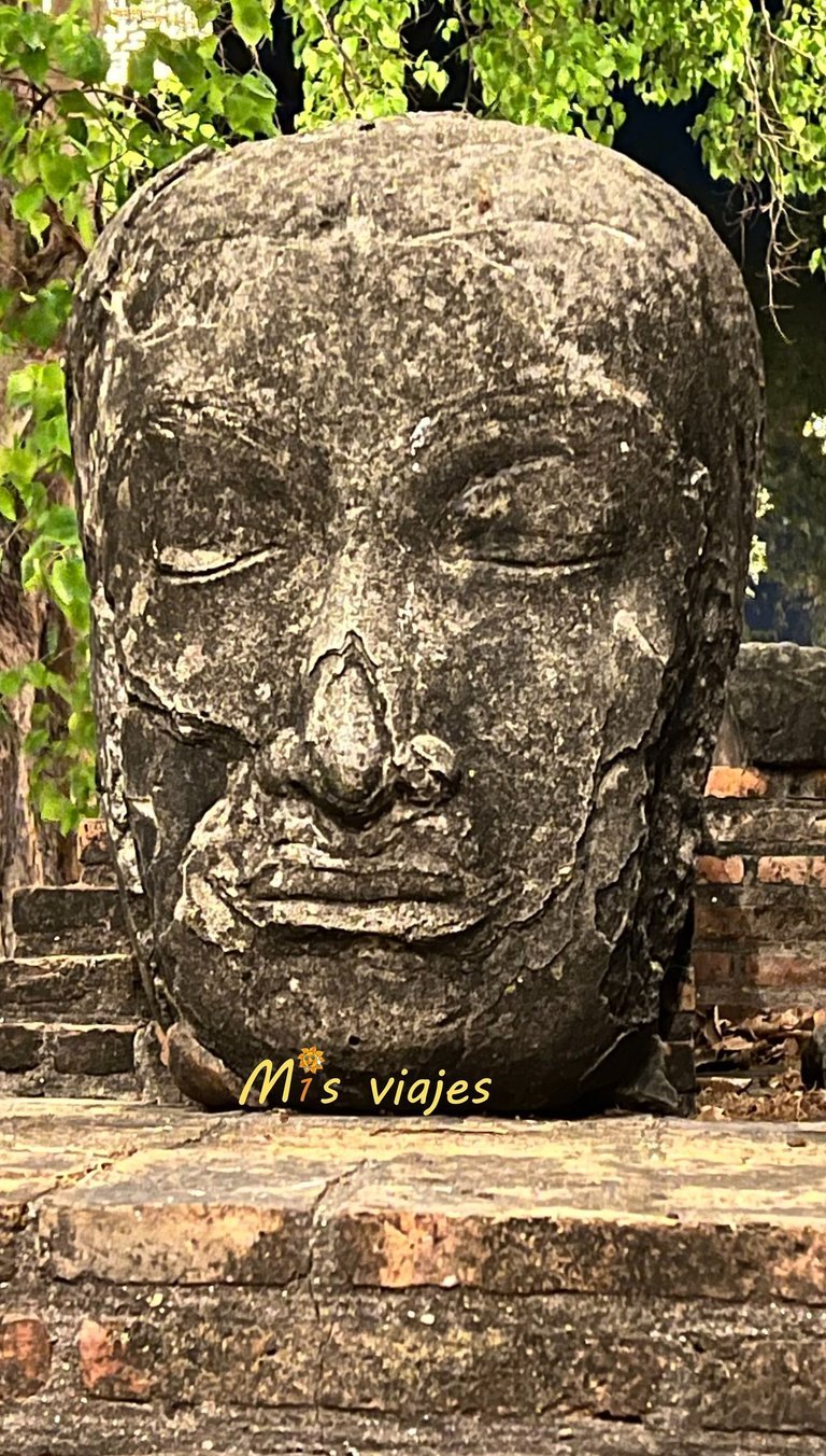 Wat Ratchaburana: El Templo Real de las Ruinas de Ayutthaya Cabeza de Buda en el Wat Ratchaburana