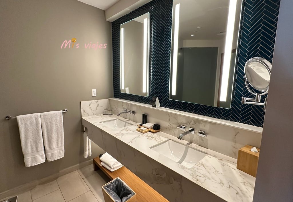 Baño de la Suite
