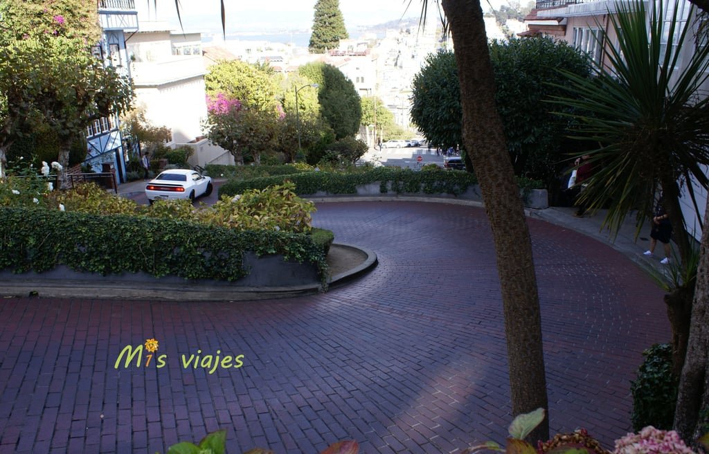 San Francisco: Su Golden Gate y sus Colinas La sinuosa Lombard Street.