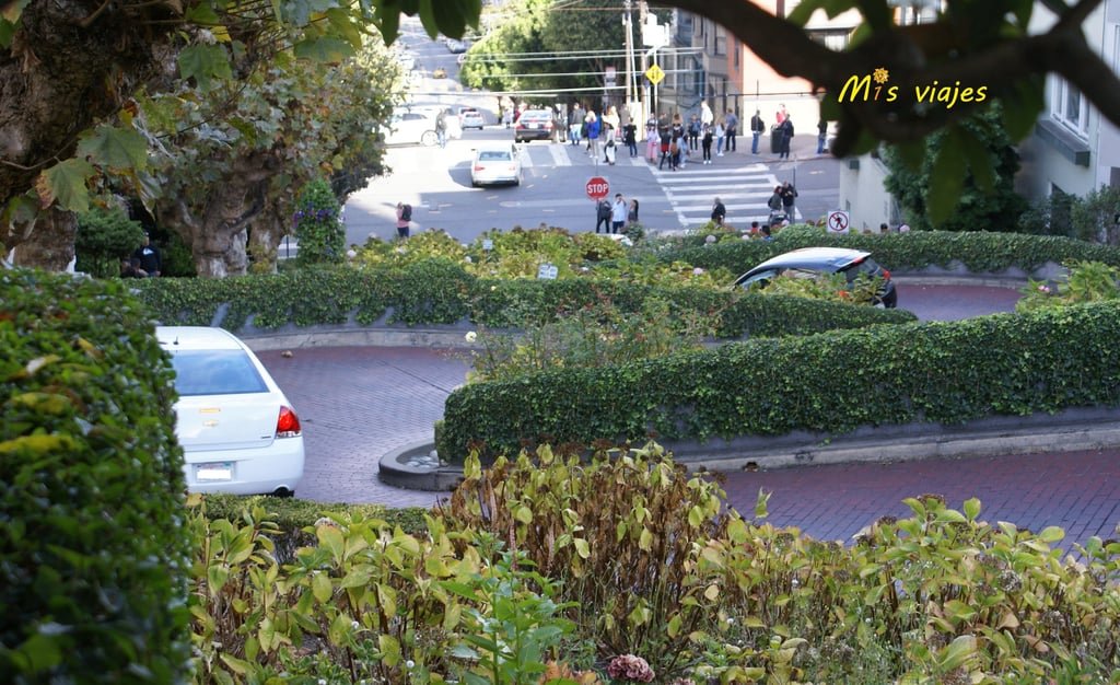 San Francisco: Su Golden Gate y sus Colinas La sinuosa Lombard Street.