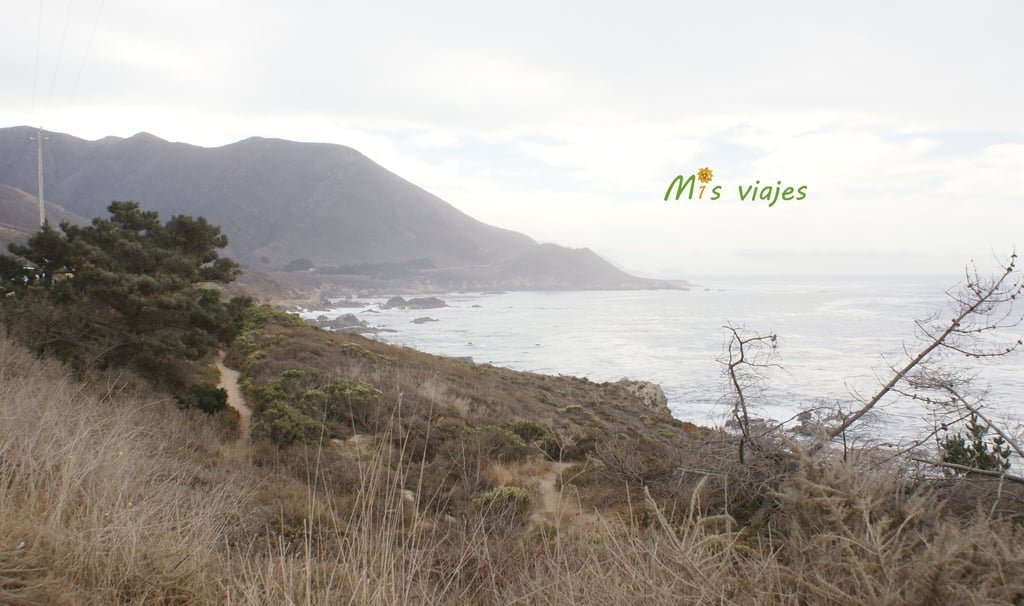 Point Lobos State Natural Reserve.