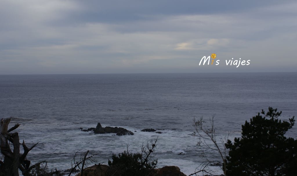 Point Lobos State Natural Reserve.