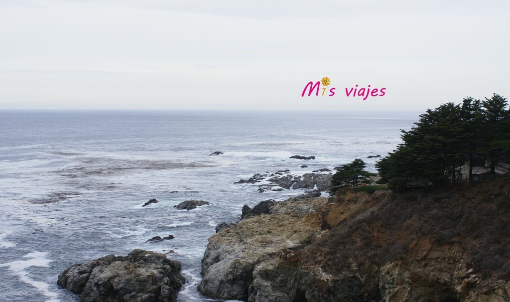 Point Lobos State Natural Reserve.
