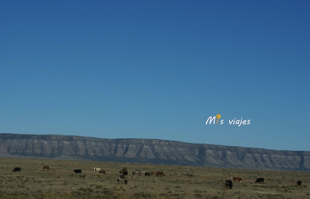 Precioso paisaje de Arizona en el territorio de la Tribu Hualapai