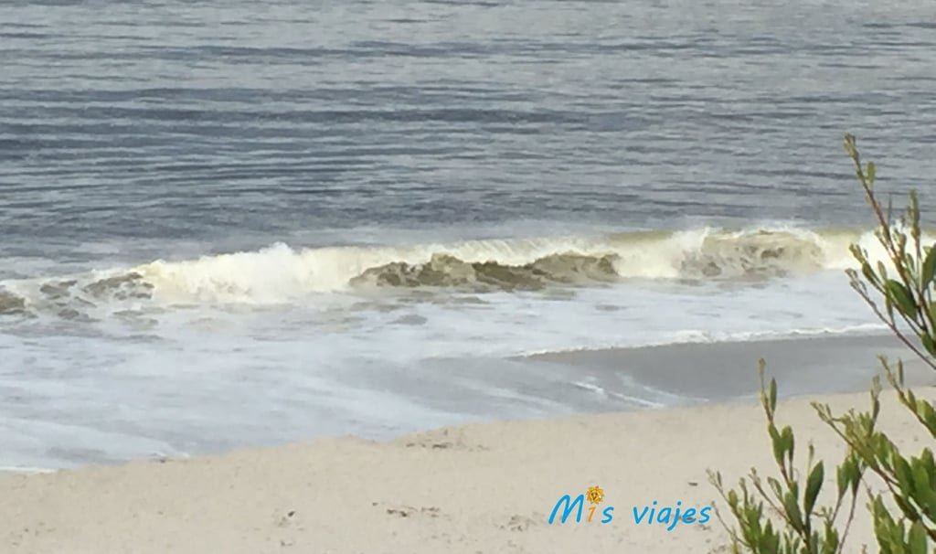 Las Frías aguas de Carmel Beach.