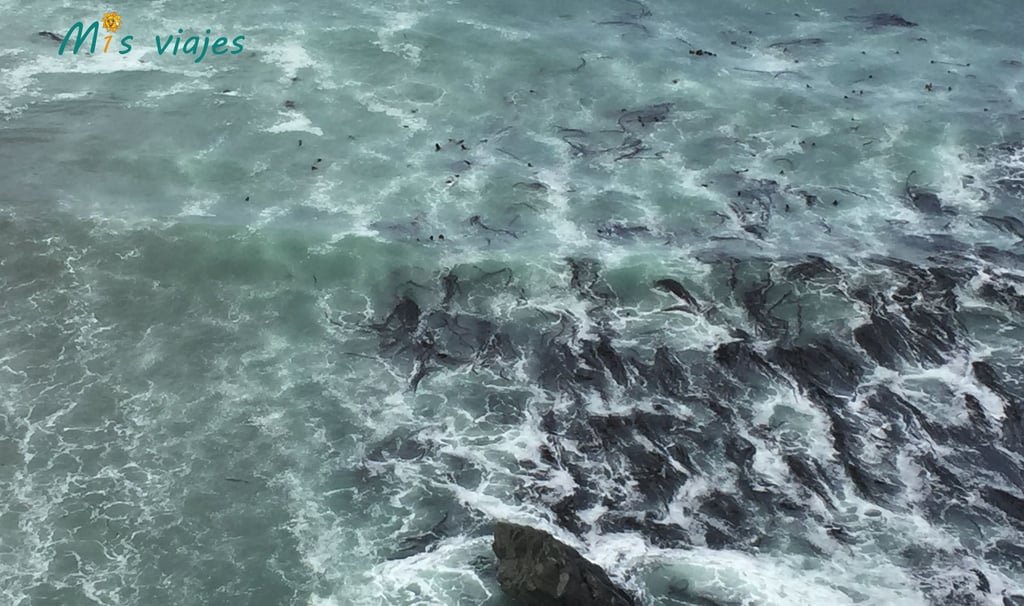 Las aguas del frío Atlántico.
