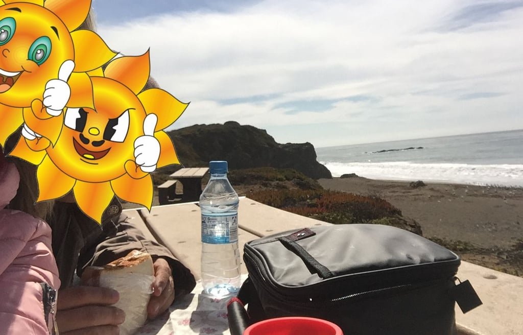 Cargando pilas en el recorrido de la Big Sur.